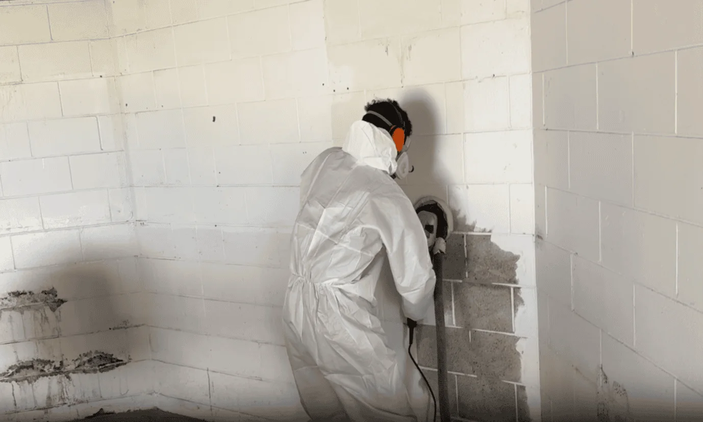 Crystalline Waterproofing Project at 8 Bragato Place, Chatswood, Auckland